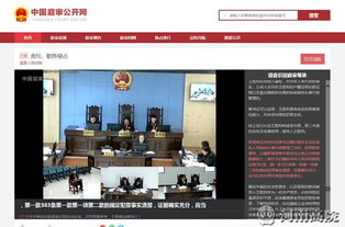 河南法院訴訟服務網 便捷高效的司法網絡技術服務